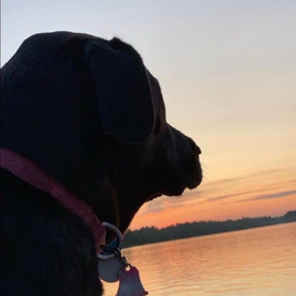 Profile Picture of Kris Moussette (@caseymoussette) on Poshmark