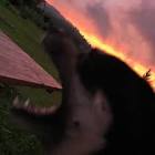 Profile Picture of   Taylor Summerton... (@taylorsummerton) on Tiktok