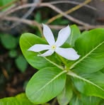 Profile Picture of Alec Slater (@Alec-Slater) on Facebook