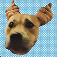 Profile Picture of Fangjun Liu (@fangjun-liu-5) on Quora