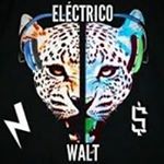 Profile Picture of Camilo Cordero (@camilo.cordero.777) on Instagram