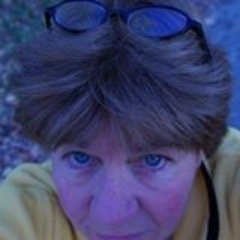 Profile Picture of Anne Dixon (@bowdoinchica) on Twitter