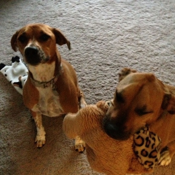 Profile Picture of Stephanie Realsen (@srealsen) on Poshmark