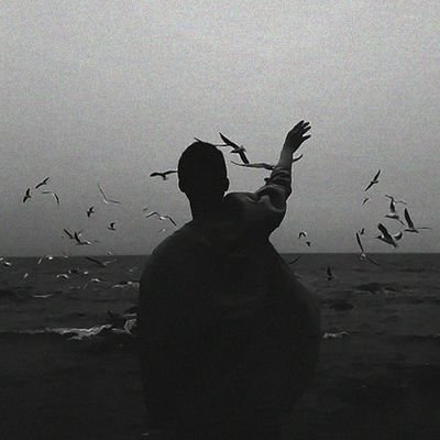 Amir.Fallah - Twitter Profile Picture of Amir.Fallah (@Amirfallah28) on Twitter