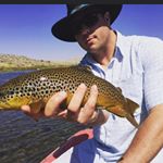 Profile Picture of Tom Vincent (@tom_vincent26) on Instagram