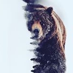 Profile Picture of Alexander Nikolaev (@grom_174) on Instagram