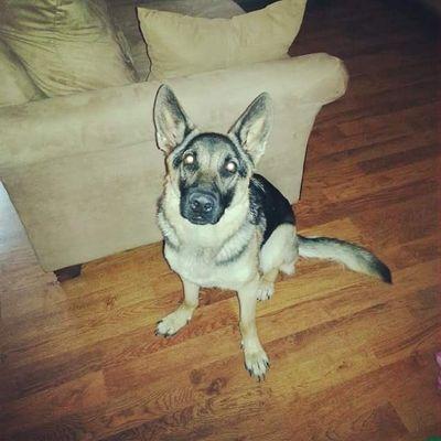 Profile Picture of Jacob Miracle (@jmiracle188) on Twitter