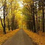 Jagoda Jogodka - Instagram Profile Picture of Jagoda Jogodka (@jagodajogodka) on Instagram