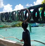 Profile Picture of Jian Carl Galozo (@jian.carl.galozo.2025) on Facebook