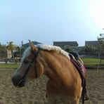 Profile Picture of Michelle Provencher (@michelle.provencher.54) on Facebook