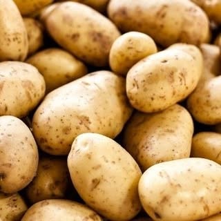 Profile Picture of James Lalli-Cafini (@james_lalli) on Instagram