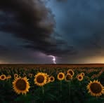 Profile Picture of Cindy Renninger (@cindy.renninger.796) on Facebook