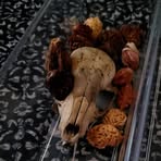 Profile Picture of Jacob Mosteller (@Jacob-Mosteller) on Facebook