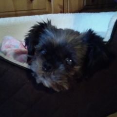 Profile Picture of jeansimons93 (@jeansimons93) on Tiktok