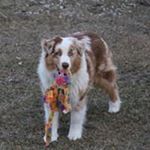 Profile Picture of Nancy Moe (@nancy.m.mccullough.9) on Instagram