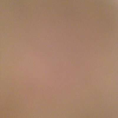 Profile Picture of Sophia Hansen (@fiacolov) on Twitter