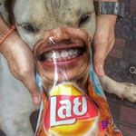 Profile Picture of davidgerten (@davidgerten) on Instagram