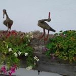 Profile Picture of Carlo Micheletti (@micheletticarlo) on Instagram