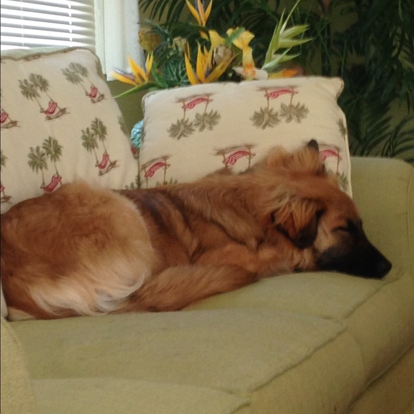 Profile Picture of Brandon Jacobs (@hillpride20) on Poshmark