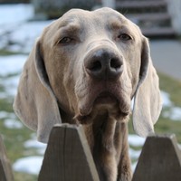 Jeff Vanburen - Quora Profile Picture of Jeff Vanburen (@jeff-vanburen-1) on Quora