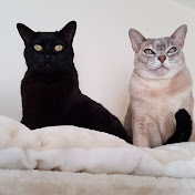 Profile Picture of Neil Miles (@spudlerno1) on Youtube