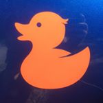 Profile Picture of Shane Gordon (@rubberduckplumbing) on Instagram