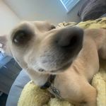 Profile Picture of Stephen Aring (@_stephen_aring) on Instagram