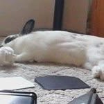 Profile Picture of Nathan Ricker (@nathanricker) on Instagram