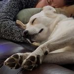 Profile Picture of Eileen Olson (@eileenolson777) on Instagram