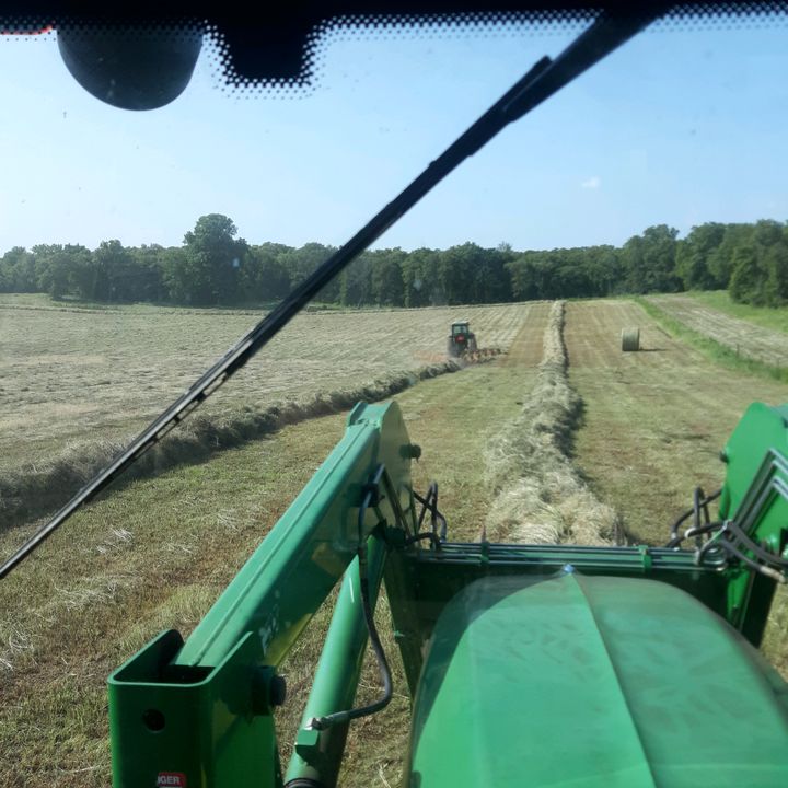 Profile Picture of aaaronroe (@aaaronroe) on Tiktok