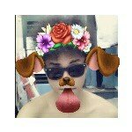 Profile Picture of Mark Lawrence R. Albano (@markiee101010) on Instagram