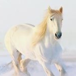 Profile Picture of mariazic (@mariazeic8) on Instagram