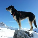 Profile Picture of Saverio Libbri (@sax80__) on Instagram