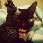 Profile Picture of Josh Matlock (@matlocknerdtees) on Instagram