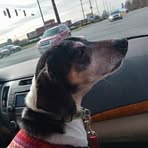 Profile Picture of Brad Fee (@Brad-Fee) on Facebook