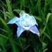 Profile Picture of Berta Romans (@bertaromansvilaro) on Pinterest