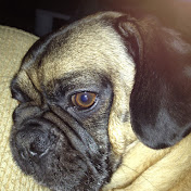 Profile Picture of Kevin Cagney (@kevincagney871) on Youtube