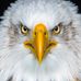Profile Picture of Walter Moore (@walter.moore.96995238) on Facebook