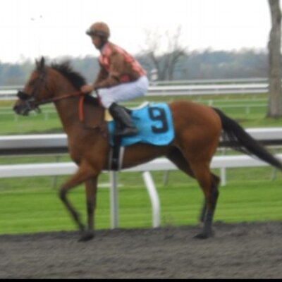 Profile Picture of Joe Panniero (@Baldy44Joe) on Twitter