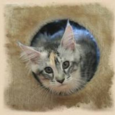 Profile Picture of Carlo Serra (@carloserra4) on Twitter