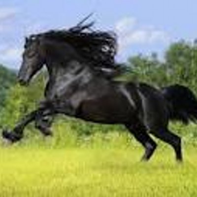 Profile Picture of Samuel Balderrama (@Samuelbal84) on Twitter