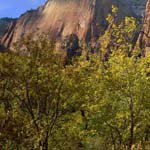 Profile Picture of Gordon_Stokes (@gordon_stokest) on Instagram