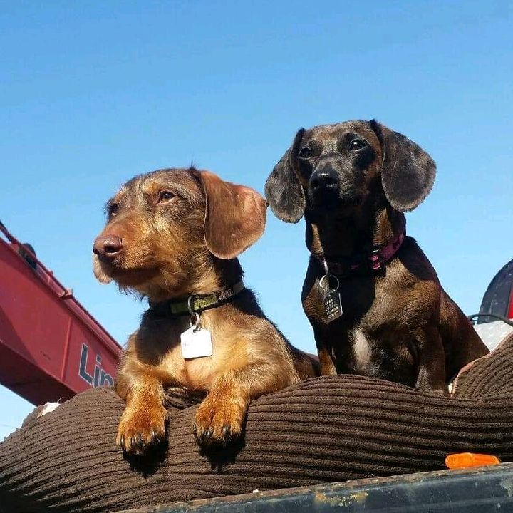 Profile Picture of Shanner (@shanner78) on Tiktok