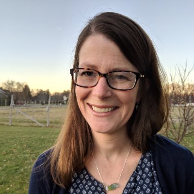 Profile Picture of Bonnie Laughlin-Schultz (@SoEastILcivics) on Twitter