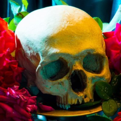 Profile Picture of Dan Bannino (@danbannino) on Twitter