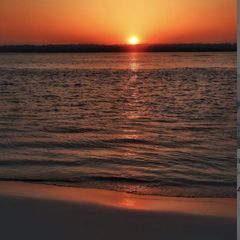 Profile Picture of nicolsquillace (@nicolsquillace) on Tiktok