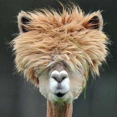 Profile Picture of Ed Engle (@elengle0324) on Twitter