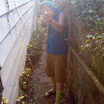 Profile Picture of David Godfrey (@joseph_warman) on Instagram