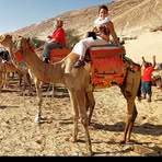 Profile Picture of Silvia Barber (@silvia.barber.5872) on Facebook