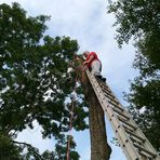 Profile Picture of Robert Hanning (@robert.hanning.58) on Facebook